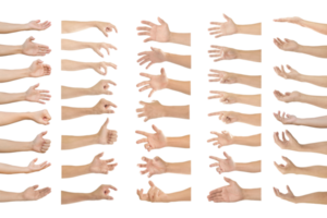 Collection of human hands in multiple gesture on transparent background PNG file