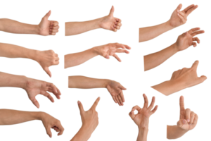 Set of male hand multiple collection in gestures isolated on transparent background PNG file