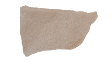 Brown ripped piece of paper isolated on transparent background PNG file