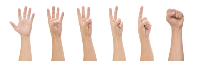 Hand counts from zero to five isolated on transparent background PNG file