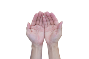 Two open hand isolated on transparent background PNG file