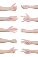 Set of man hands Isolated on transparent background PNG file