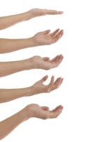 collection de gestes des mains isolés sur un fichier png de fond transparent