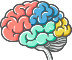 Human brain diagram doodles icon png