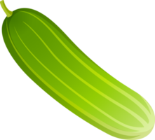 cetriolo piatto colore png