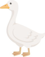 couleur plate de canard png