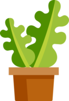 Cactus flat color png