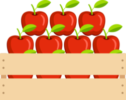 ilustración de color de manzana png