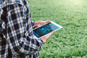 agronomist farmer hand using mobile tablet computer analysis data development in hydroponic greenhouse garden nursery farm, smart farming, digital technology and agricultural innovation concept photo