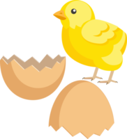 chick flat color png