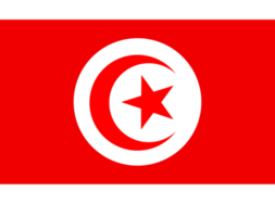 icônes du drapeau de la tunisie png