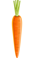 Carrot flat color png