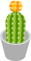 couleurs plates de cactus png