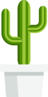 cactus succulento piatto colore png