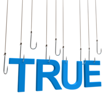 True text hanging on a fishing hook png