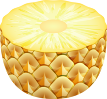 ananas kleur illustratie png