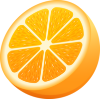 ilustração de cor de fruta laranja png