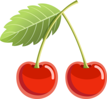 Cherry color illustration png