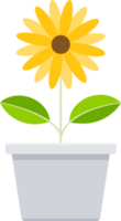 Flower flat color png