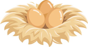 eggs in the nest flat color png