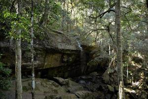 Tham Yai waterfall at Phu Kradueng National Park,Thailand photo