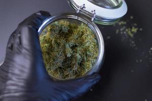 Man holding large jar of cannabis THC buds. Top view on medical marijuana photo