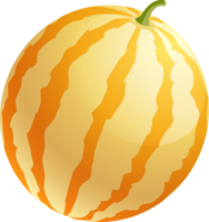 vattenmelon Färg illustration png