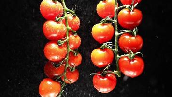 rosso ciliegia pomodori ruotare su un' nero sfondo. succoso verdure nel acqua gocce. vegetariano concetto. lento movimento. video