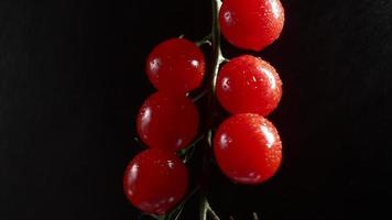 tomates cereja vermelhos giram sobre um fundo preto. vegetais suculentos em gotas de água. conceito vegetariano. câmera lenta. video