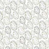 seamless texture of colored contours of potatoes on a white background vector