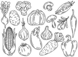 conjunto de iconos vegetales de contorno negro. dibujos hechos a mano de zanahoria, repollo, brócoli, maíz, calabaza. boceto de ilustración de comida. garabatear siluetas de elementos de cosecha vector