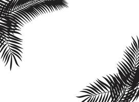 Black leaves of palm tree vector