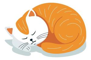 cute sleeping red cat. the cat will curl up. flat vector illustration.