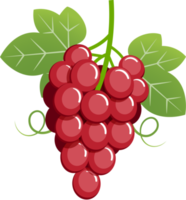 ilustración de color de uva png