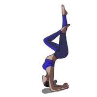 mano disegnato, donna esercizio nel yoga postura. png