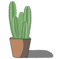 planta de cactus en la maceta. png