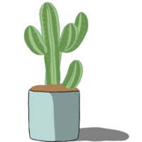 planta de cactus en la maceta. png