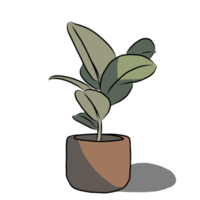 Hand drawn,plant in the pot. png
