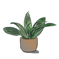 Hand drawn,plant in the pot. png