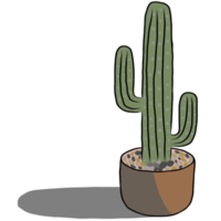 planta de cactus en la maceta. png