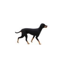 cachorro latido helênico 3d png