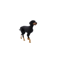 3d  HELENIC BARK dog png