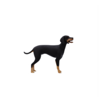 3d elenico abbaiare cane png