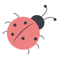 sticker Ladybug. Insect png