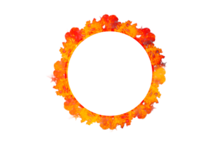 circle frame orange flame isolated on transparent background PNG file