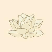 Lotus flower isolated vector object