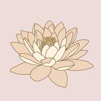 Lotus flower isolated vector object