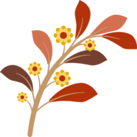 färgrik blomma element png