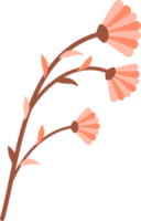 Colorful flower element png