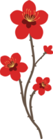 Colorful flower element png